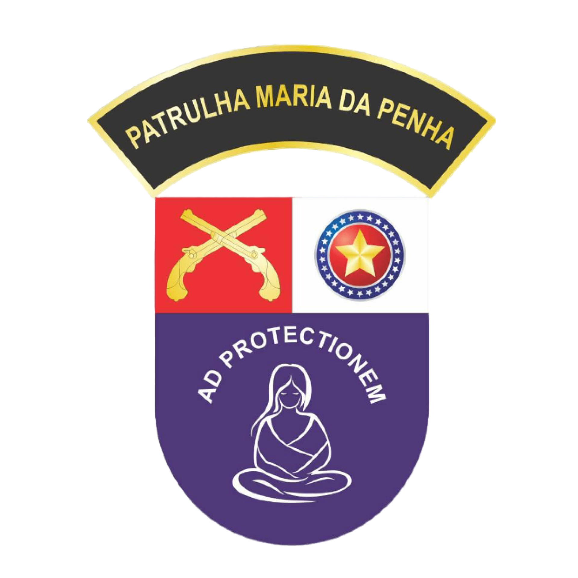 Logo PMP